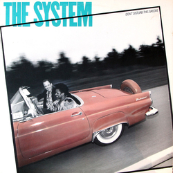 The System Don't Disturb This Groove Vinyl LP USED