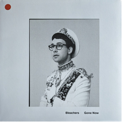 Bleachers Gone Now Vinyl LP USED