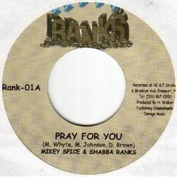 Mikey Spice / Shabba Ranks Pray For You Vinyl 7" USED