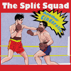 The Split Squad Another Cinderella Vinyl LP USED