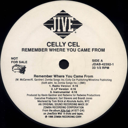 Celly Cel Remember Where You Came From Vinyl 12" USED