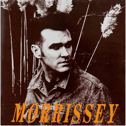 Morrissey November Spawned A Monster Vinyl 12" USED