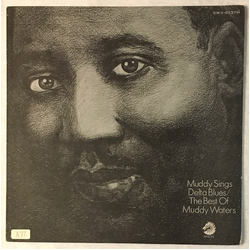 Muddy Waters Muddy Sings Delta Blues / The Best Of Muddy Waters Vinyl LP USED