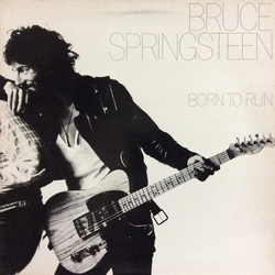 Bruce Springsteen Born To Run Vinyl LP USED