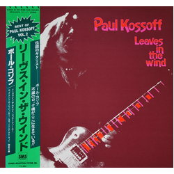 Paul Kossoff Leaves  In The Wind Vinyl LP USED