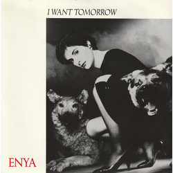 Enya I Want Tomorrow Vinyl 7" USED