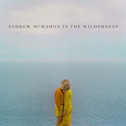 Andrew McMahon In The Wilderness Andrew McMahon In The Wilderness Vinyl LP USED