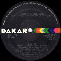 AM-FM You Are The One Vinyl 12" USED