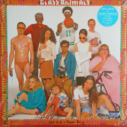 Glass Animals How To Be A Human Being Vinyl LP USED