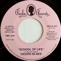 Cicero Blake School Of Life / She's Cheatin' On You Vinyl 7" USED