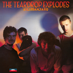 The Teardrop Explodes Kilimanjaro Vinyl LP USED