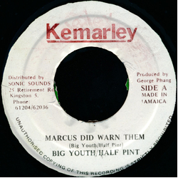 Big Youth / Half Pint Lindon Andrew Roberts Marcus Did Warn Them Vinyl 7" USED