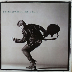 Bryan Adams Cuts Like A Knife Vinyl LP USED