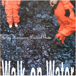 Jerry Harrison: Casual Gods Walk On Water Vinyl LP USED