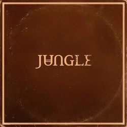 Jungle (12) Sunshine Vinyl LP USED
