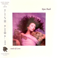 Kate Bush Hounds Of Love Vinyl LP USED