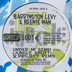 Barrington Levy / Beenie Man Under Mi Sensi Vinyl 12" USED