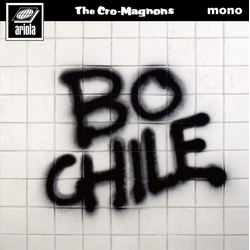 ザ・クロマニヨンズ 暴動チャイル (Bo Chile) Vinyl 7" USED