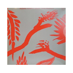 Shuichi Murakami Padang Rumput Vinyl 12" USED