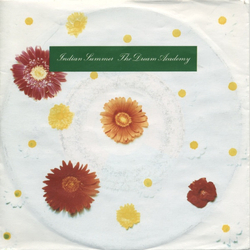 The Dream Academy Indian Summer Vinyl 7" USED
