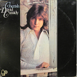 David Cassidy Cherish Vinyl LP USED