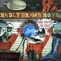 Badly Drawn Boy Have You Fed The Fish? Vinyl LP USED