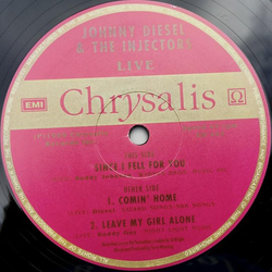 Johnny Diesel & The Injectors Since I Fell For You Vinyl 12" USED