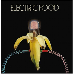 Electric Food Electric Food Vinyl LP USED