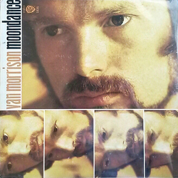 Van Morrison Moondance Vinyl LP USED