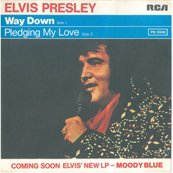 Elvis Presley Way Down Vinyl 7" USED