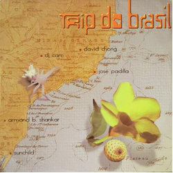 Various Trip Do Brasil - The Brazilian Flavor Vinyl 12" USED