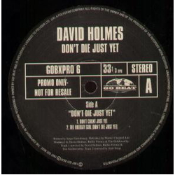 David Holmes Don't Die Just Yet Vinyl 12" USED