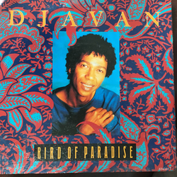 Djavan Bird Of Paradise Vinyl 7" USED
