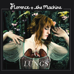 Florence And The Machine Lungs Vinyl LP USED