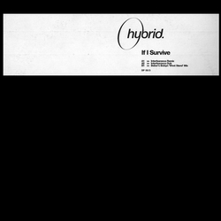 Hybrid If I Survive Vinyl 12" USED