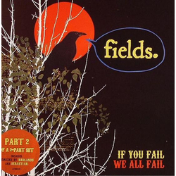 Fields If You Fail We All Fail Vinyl 7" USED
