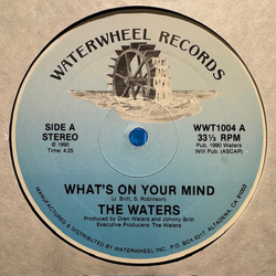 The Waters What's On Your Mind Vinyl 12" USED
