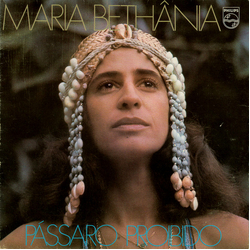 Maria Bethânia Pássaro Proibido Vinyl LP USED