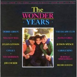 Various The Wonder Years (Music From The Emmy Award-Winning Show And Its Era) Vinyl LP USED