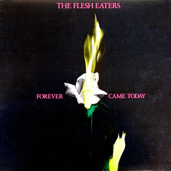 The Flesh Eaters Forever Came Today Vinyl LP USED