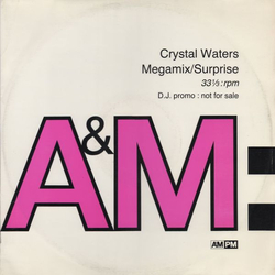 Crystal Waters Megamix / Surprise Vinyl 12" USED