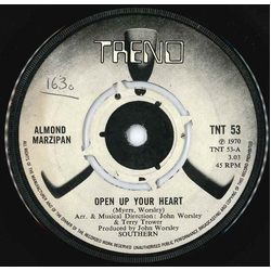 Almond Marzipan Open Up Your Heart Vinyl 7" USED