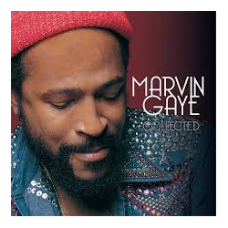 Marvin Gaye Collected Vinyl 2 LP USED