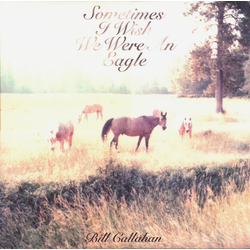 Bill Callahan Sometimes I Wish We Were An Eagle Vinyl LP USED