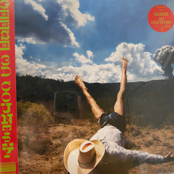 Geese (11) 3D Country Vinyl LP USED