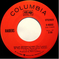 Raiders (2) Indian Reservation / Terry's Tune Vinyl 7" USED