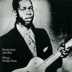 Elmore James / John Brim Whose Muddy Shoes Vinyl LP USED