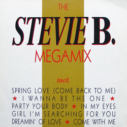 Stevie B The Stevie B. Megamix Vinyl 12" USED