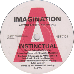 Imagination Instinctual Vinyl 7" USED