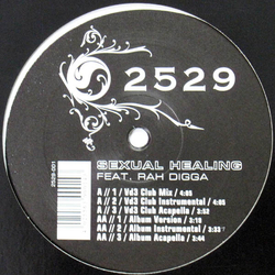 2529 / Rah Digga Sexual Healing Vinyl 12" USED